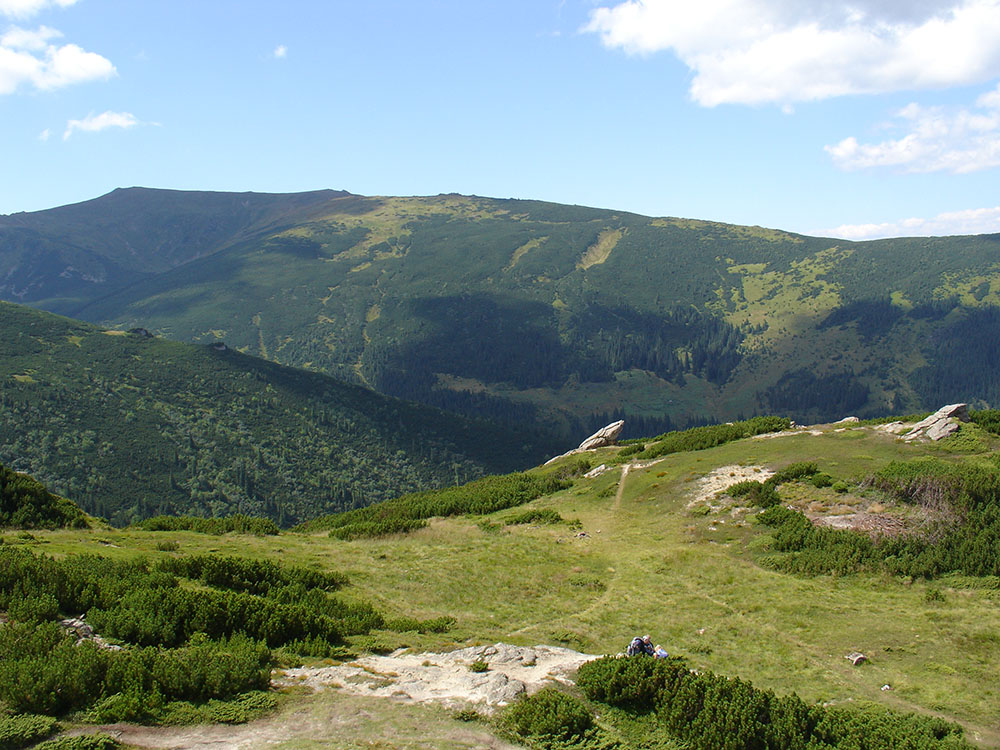 Менчул